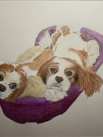 Lady and Heidi
