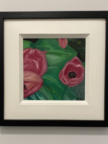 Irish Tulips